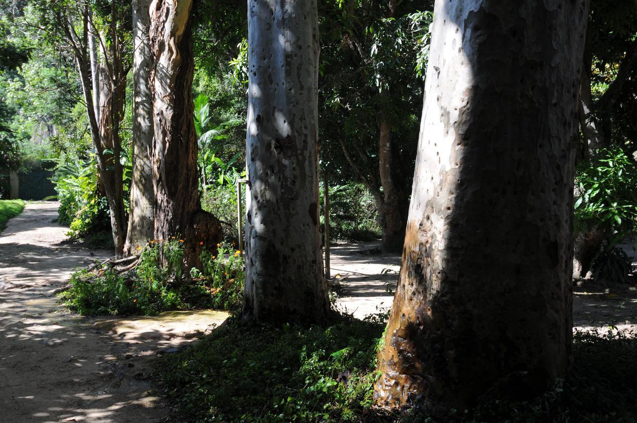 Petrópolis Pousada Da Alcobaca מראה חיצוני תמונה