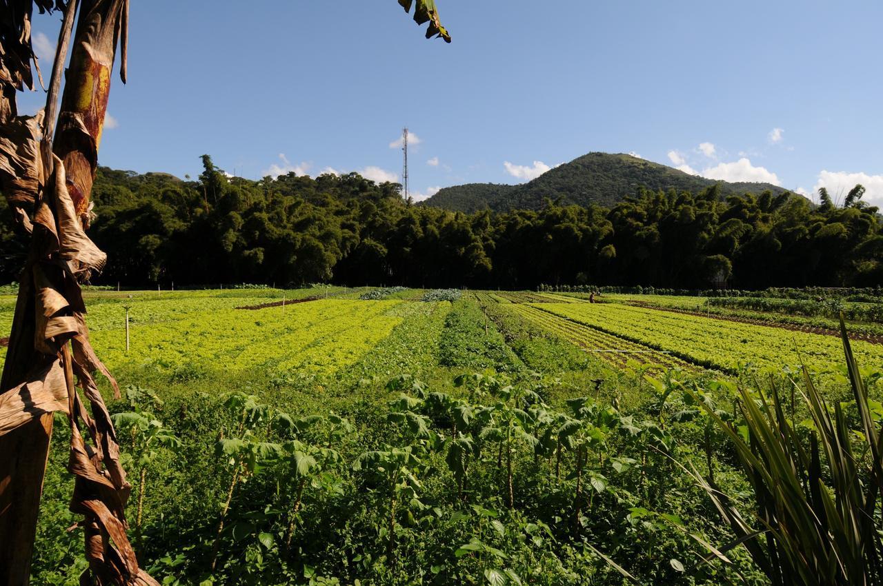 Petrópolis Pousada Da Alcobaca מראה חיצוני תמונה