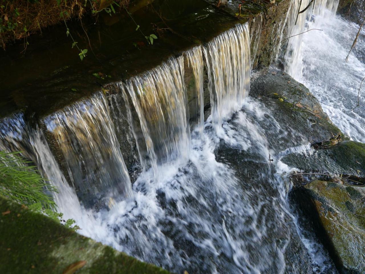 Petrópolis Pousada Da Alcobaca מראה חיצוני תמונה