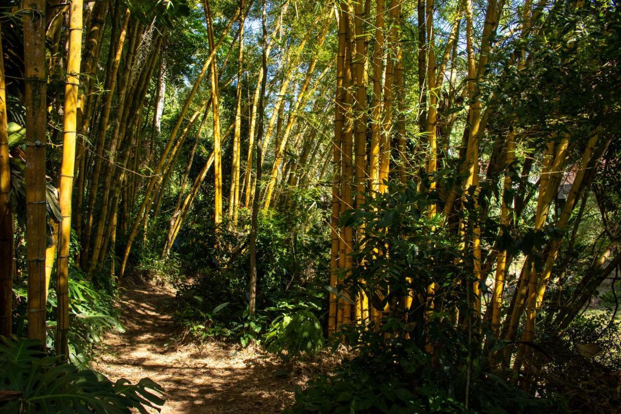 Petrópolis Pousada Da Alcobaca מראה חיצוני תמונה